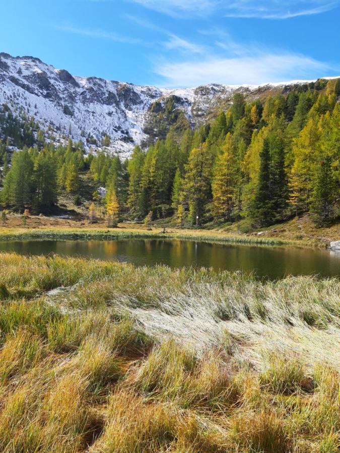 Almhaus Kaernten Flattnitz Eksteriør bilde