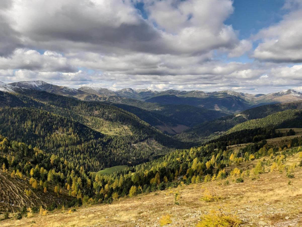 Almhaus Kaernten Flattnitz Eksteriør bilde